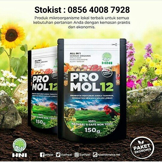 

PROMOL12 Kemasan Ekonomis 150gr