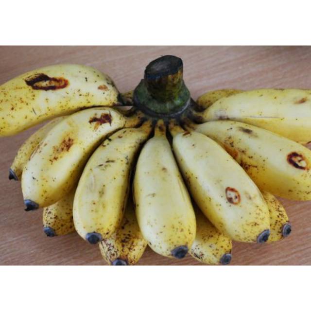 

pisang raja sereh 15.000 persisir.