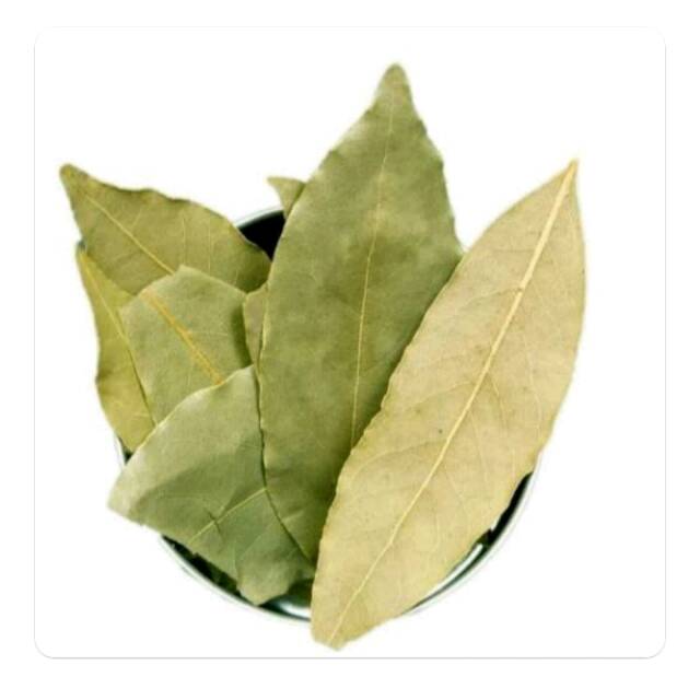 

DAUN SALAM 100 GRAM