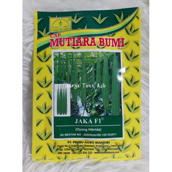 Bibit Benih Oyong JAKA F1 Mutiara Bumi 10gr (Exp 2026)