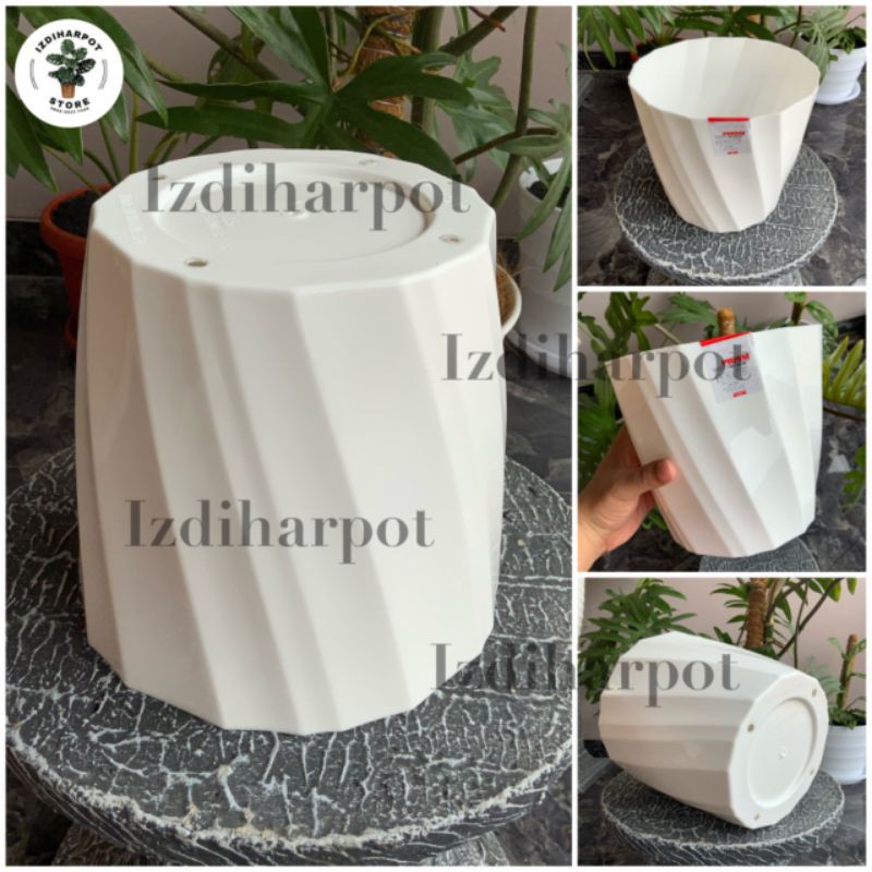 Pot bunga tanaman tabitha twist flower putih 25 - PRISMA 25