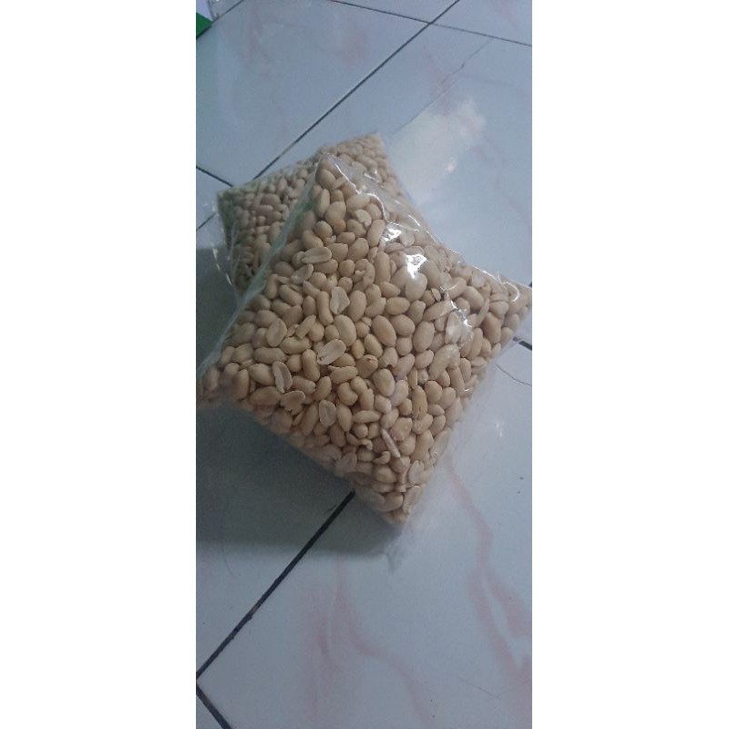 

kacang bawang jumbo