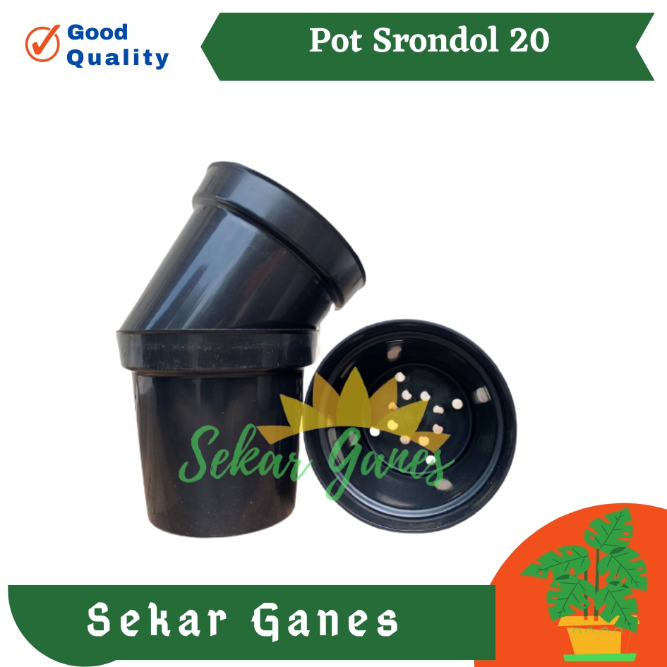 Sekarganes Pot Tinggi Srondol 20 Hitam - Pot Tinggi Usa Eiffel Effiel 18 20 25 Lusinan Pot Tinggi Tirus 15 18 20 30 35 40 50 Cm Paket murah isi 1 lusin pot bunga plastik lusinan pot tanaman Pot Bibit Besar Mini Kecil Pot Srondol 15