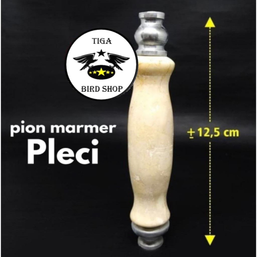 PION PLECI MAHKOTA SANGKAR PLECI MARMER KANDANG PLECI PCMI