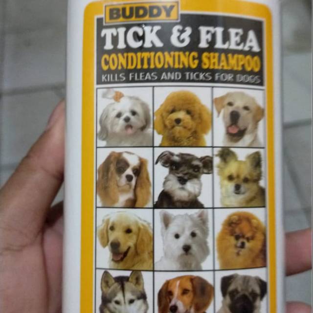 Shampo buddy flea n tik plus conditioning 300ml for dog