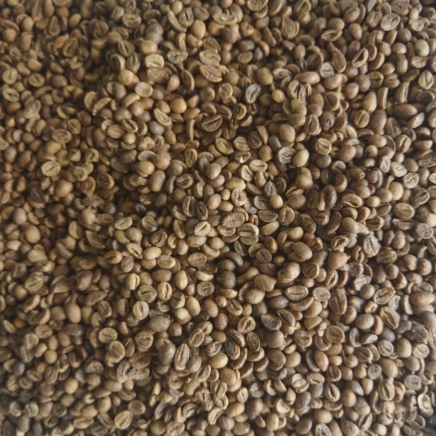 Kopi Green Bean Robusta Pupuan Bali Wine Process 500 gram