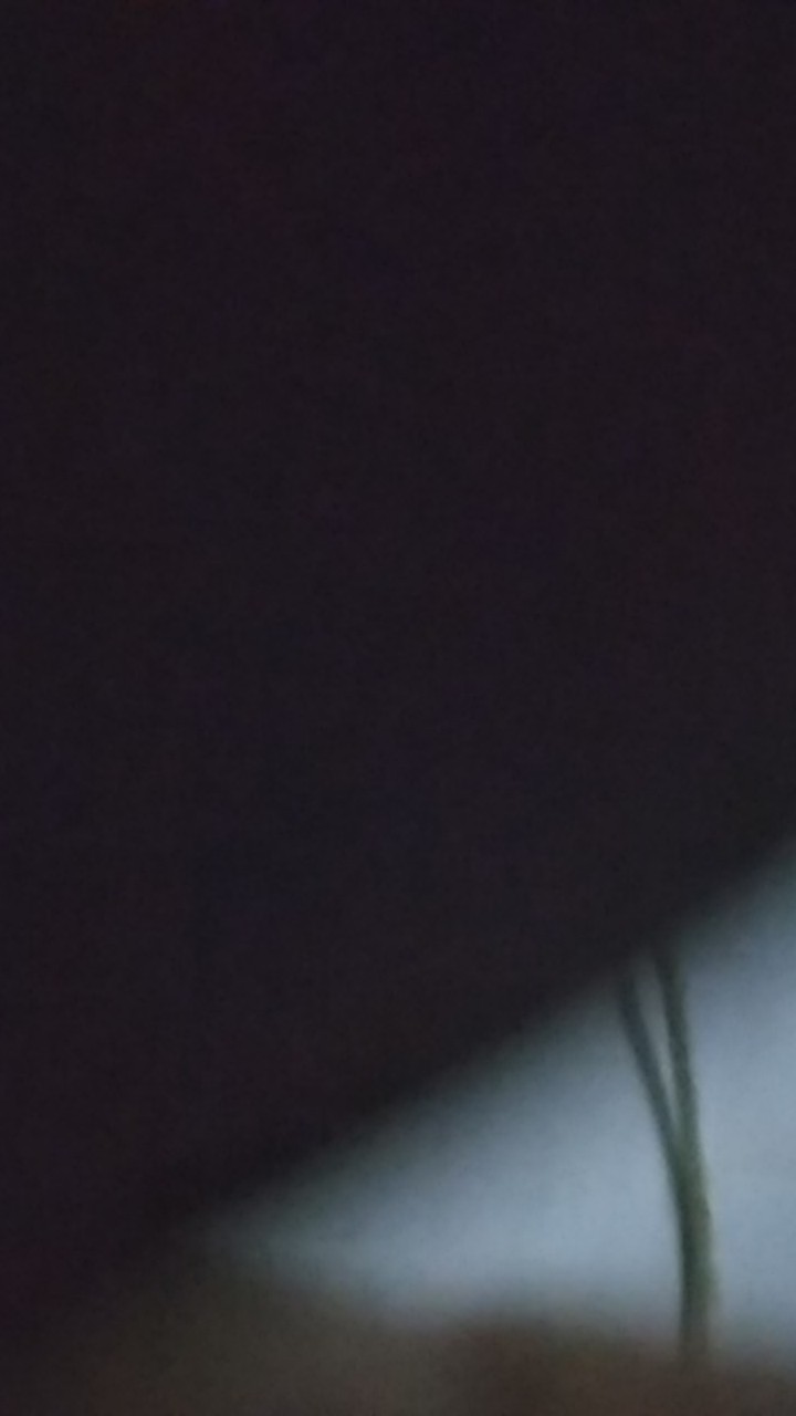 Batik Couple Keluarga Parang -- Motif Seno Biru -- Batik Modern Keluarga