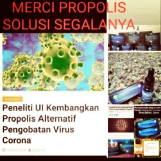 PROPOLIS BRAZILIAN 100% Asli Merci Propolis