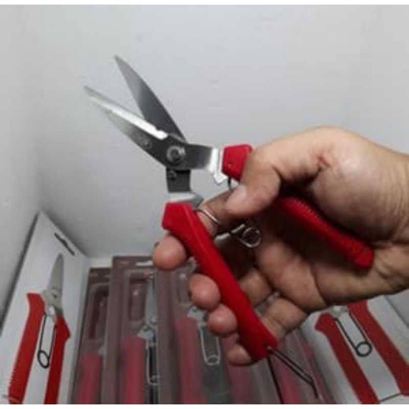 

gunting pruning