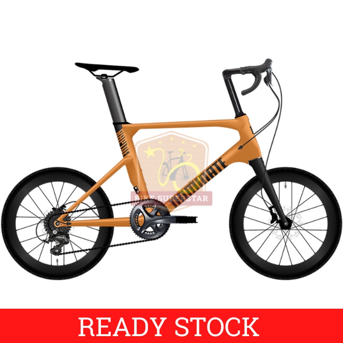 Dominate RAPIDE COMP Sepeda Mini Velo Carbon 20 Inch Shimano Claris