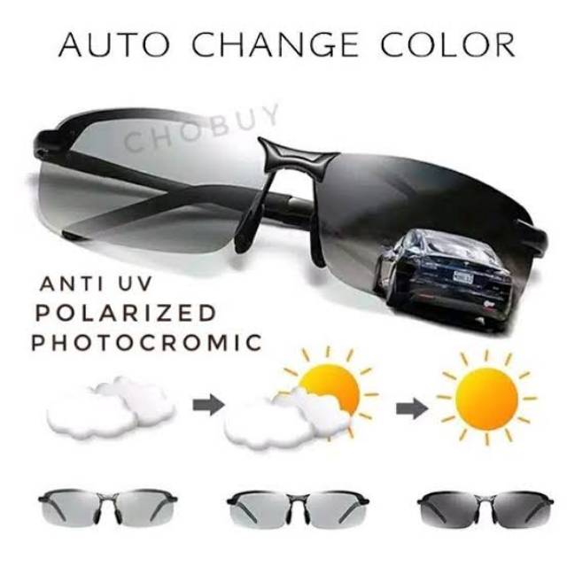 Polarized Photocromic