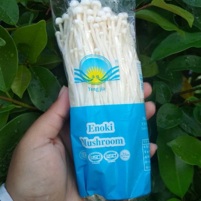 

[TERMURAH] JAMUR ENOKI CHINA / dari SURABAYA