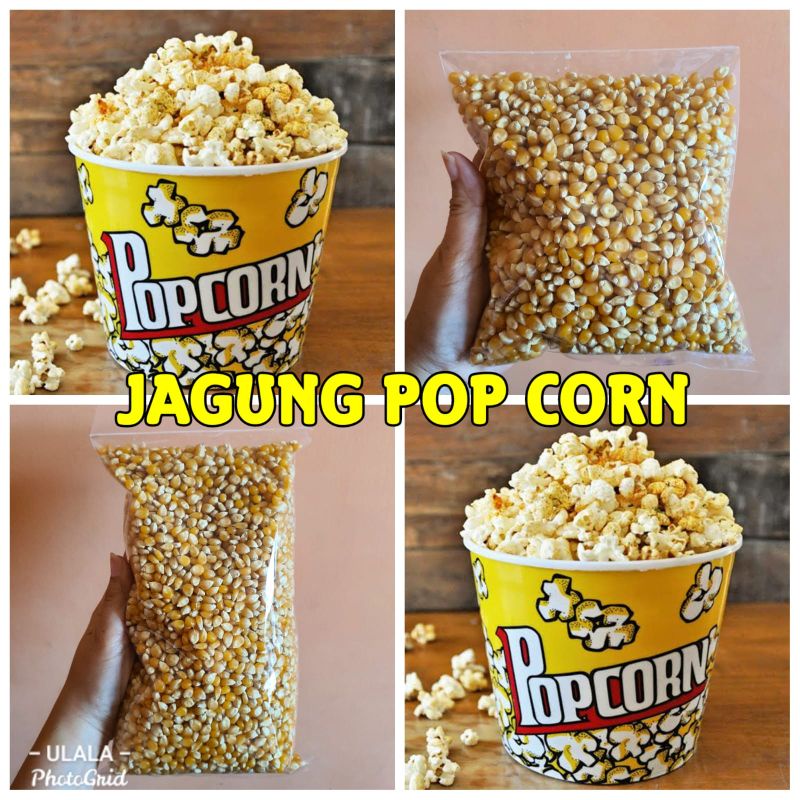 

JAGUNG POPCORN PREMIUM MENTAH