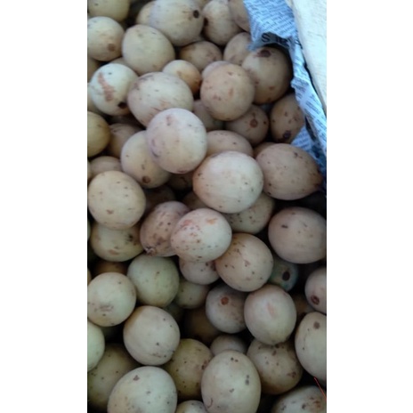 

buah dukuh manis/1kg