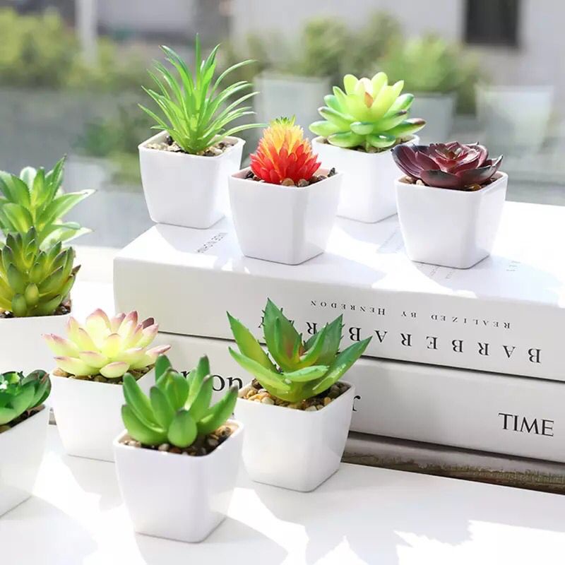 𝘈𝘉𝘎✰ Tanaman Mini Imitasi Dengan Pot Succulent untuk Dekorasi Rumah 1059