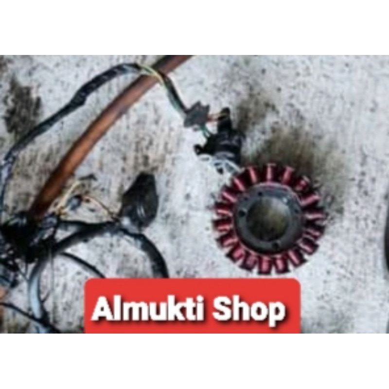 Spul Thunder 125 Copotan