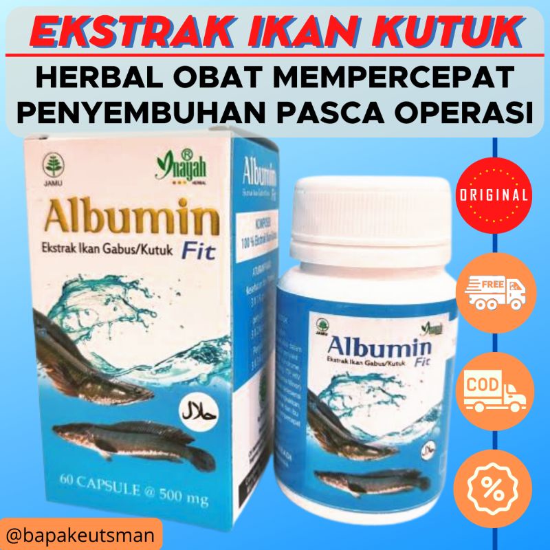 KUTUK GABUS KAPSUL ALBUMIN FIT – MEMPERCEPAT PENYEMBUHAN LUKA PASCA OPERASI