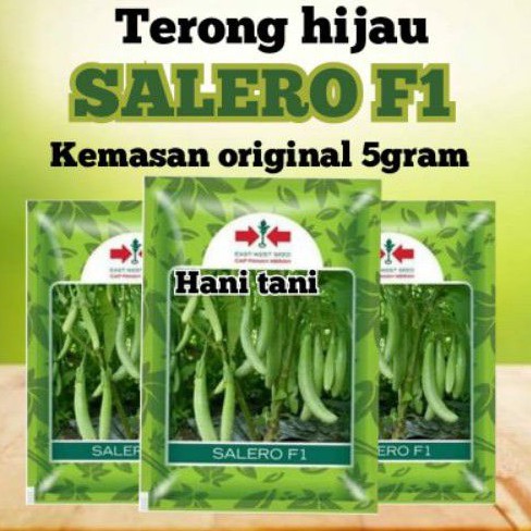 BENIH BIBIT TANAMAN PERTANIAN SAYURAN TERONG HIDROPONIK