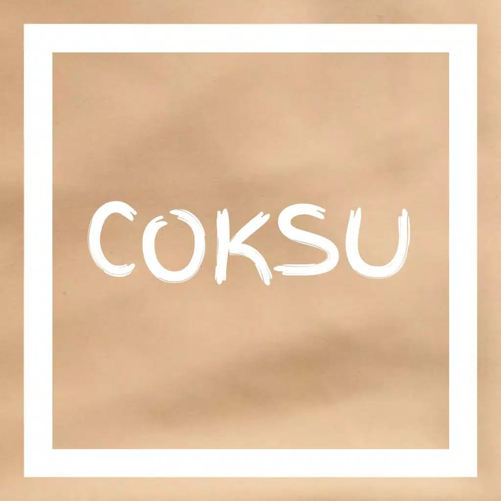 [TERLARIS] PASHMINA DIAMOND OISHI / PASTAN SALA / PASTAN ZAFINA / OISHI JUMBO-OJ Coksu