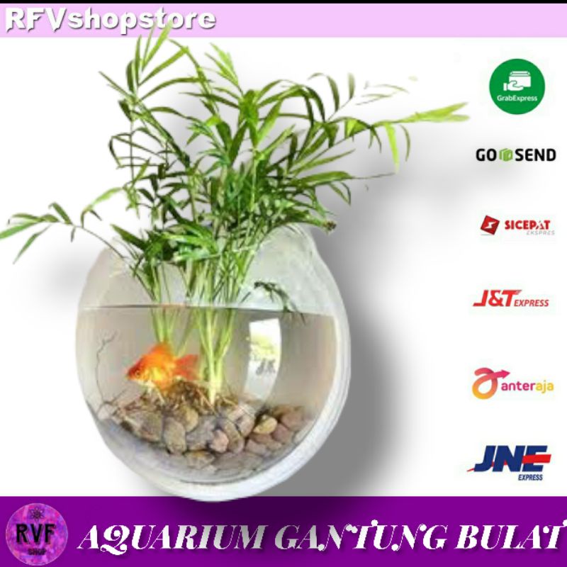 Aquarium Gantung Bulat Tempel Tembok Dinding Hanging soliter half round aquarium air aquascape murah