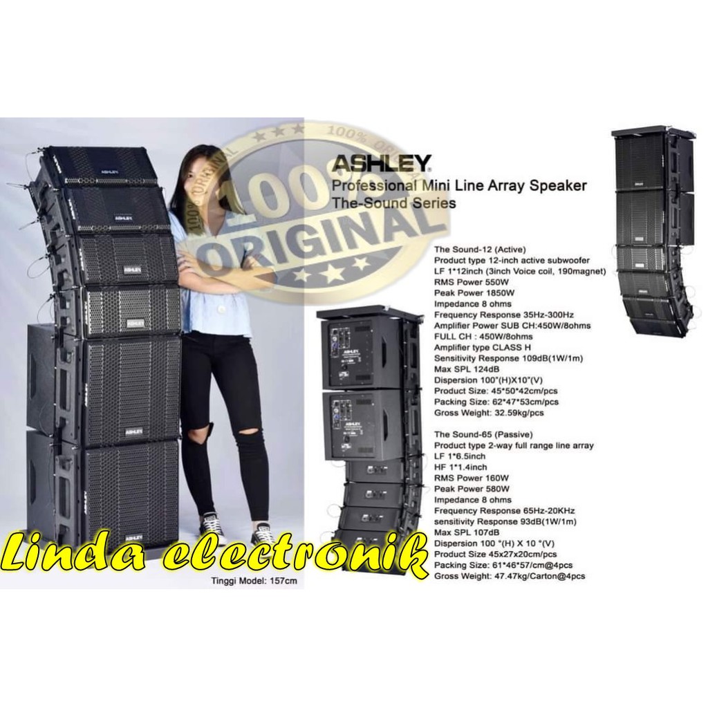 PROFESIONAL MINI LINE ARRAY ASHLEY SPEAKER THE SOUND SERIES