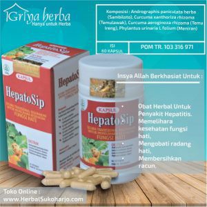 Obat Herbal kapsul HEPATOSIP Original griya herba ampuh mengobati hepatitis alami tanpa efek samping