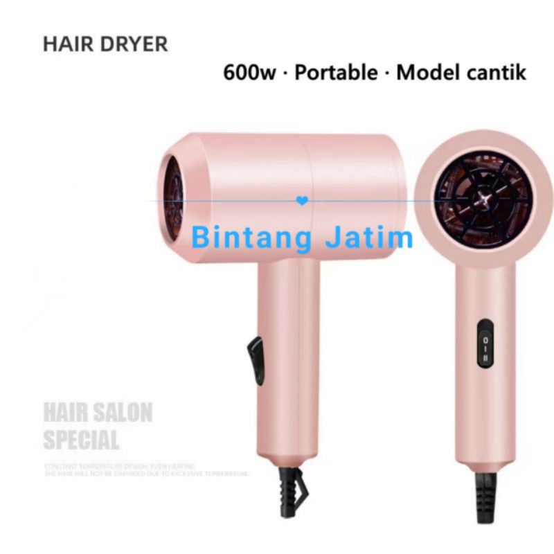 Alat Pengering Rambut Portable/Professional Ionic Hair Dryer