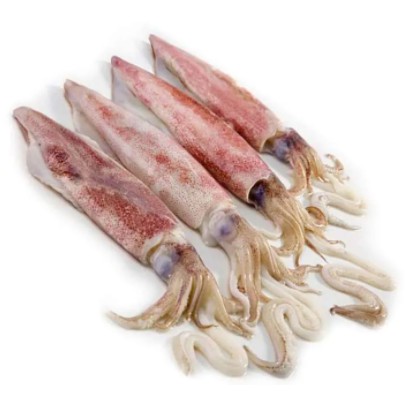 

Cumi Besar ~500gr [Jaminan Kualitas]