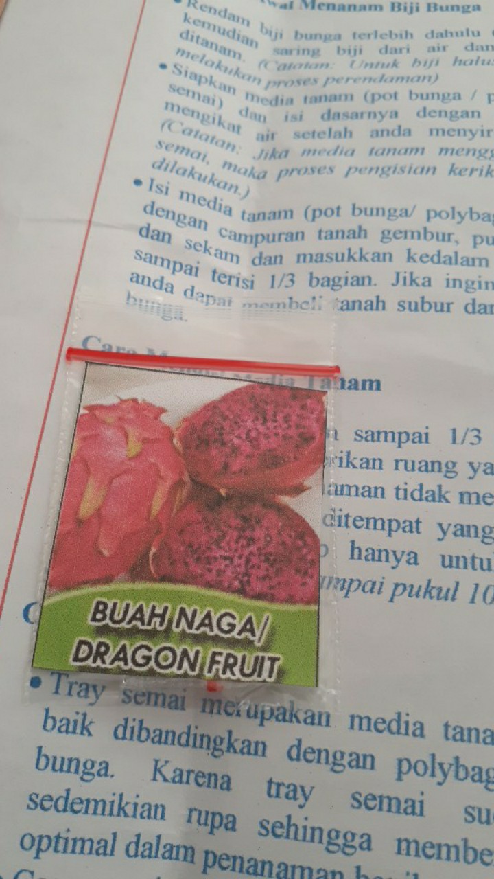 Biji Buah Naga Merah