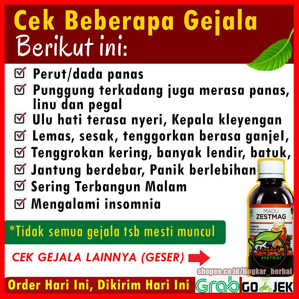 Madu Zestmag Original Obat Maag GERD Asam Lambung Anxiety Herbal