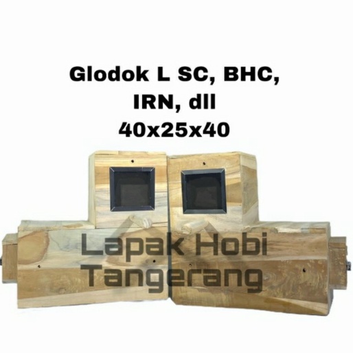 Promo tools n parts Glodok Ternak Burung Sun Conure  Nuri  Bayan  Monk  Berkualitas