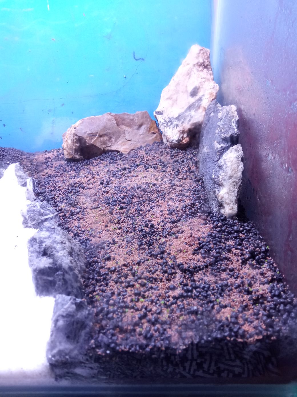 Kemeja Batik Pekalongan Formal Kantor Pria Dewasa Lengan Panjang