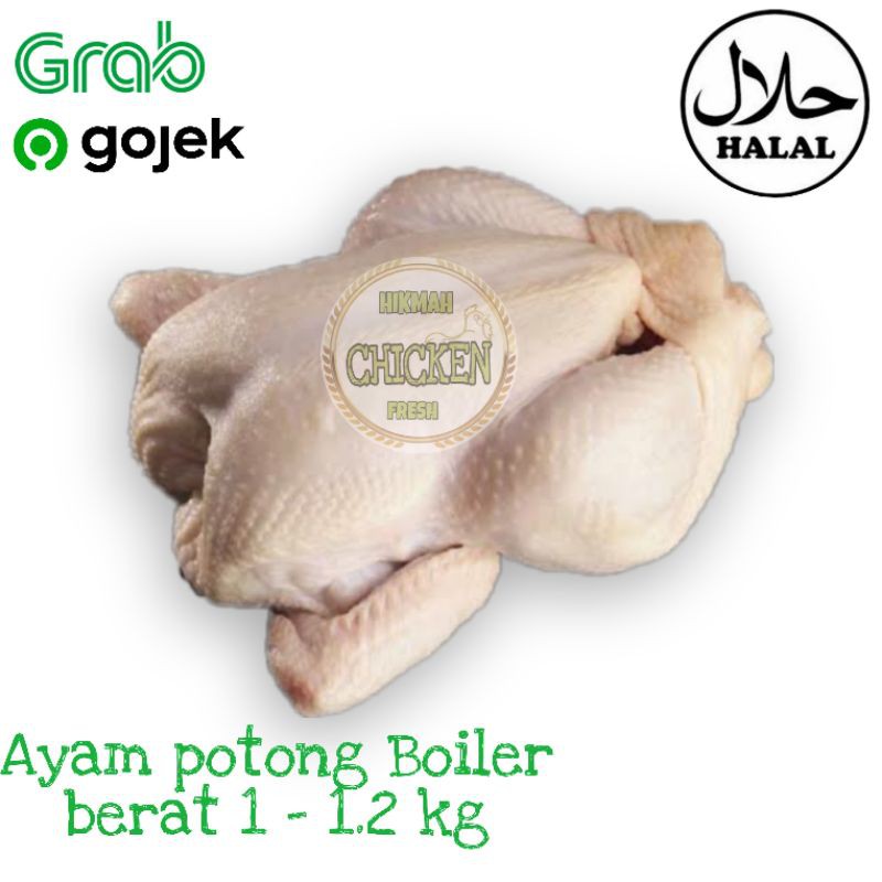 

Ayam potong boiler karkas fresh segar berkualitas termurah 1 -1.2 kg