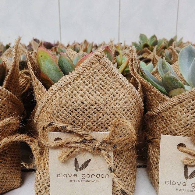 

Burlap goni (sukulen random)