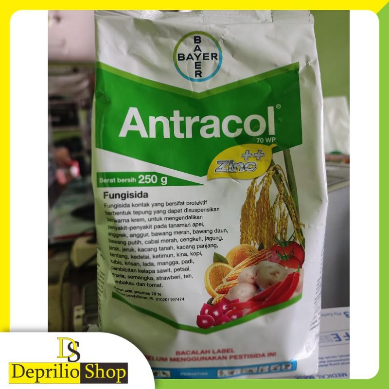 Antracol Fungisida 250gr