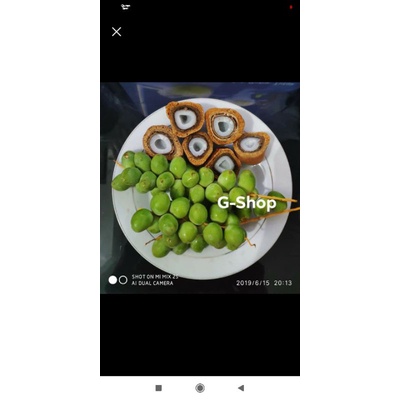 

Kurma Muda mix Zuriat 2 pcs