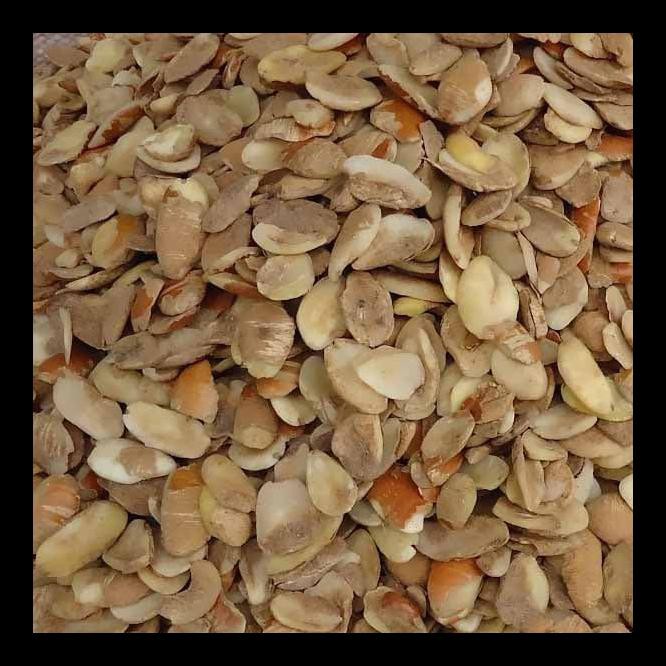 

READY! OGBONO SEED PALING MURAH