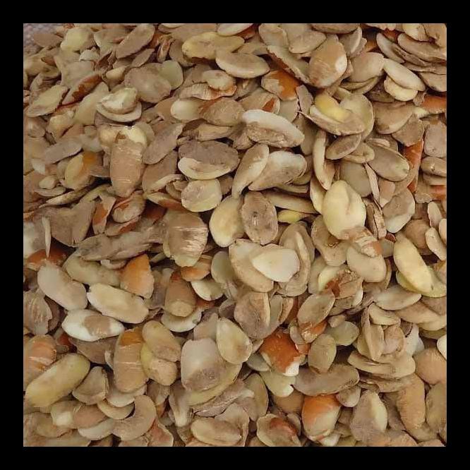 READY! OGBONO SEED PALING MURAH