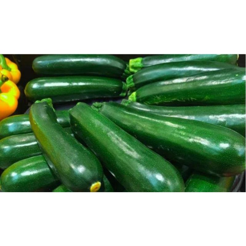 

Zucchini/zukini/timun terong italy 1kg