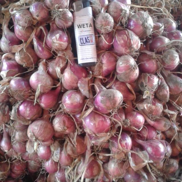 

bawang Merah 50.000/kg