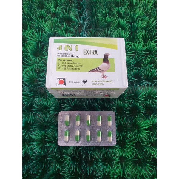 4 IN 1 EXTRA MERPATI SAKIT PENCERNAAN JUAL 1 TABLET