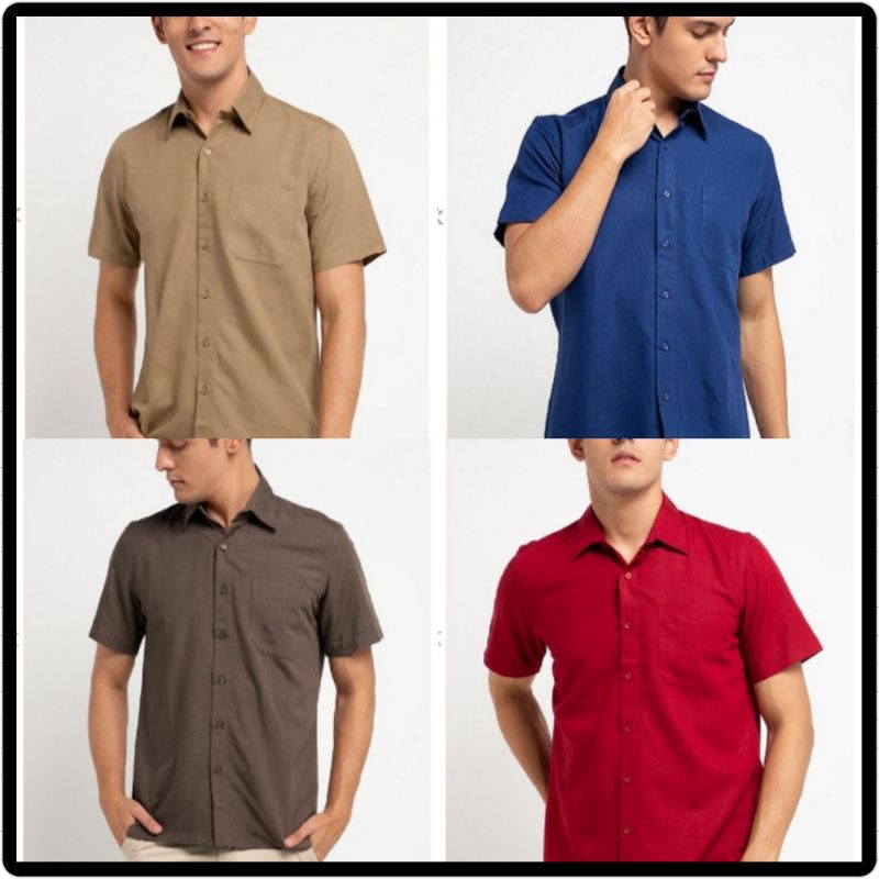 hassenda dolph kemeja pria