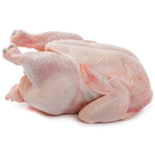 

Jual Ayam Broiler