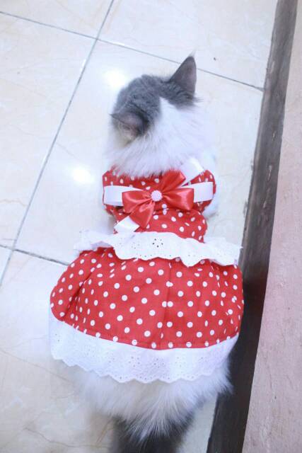 Dress polkadot merah spesial 17an merdeka / dress kucing dan anjing murah size S M L XL