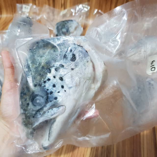 

KEPALA SALMON