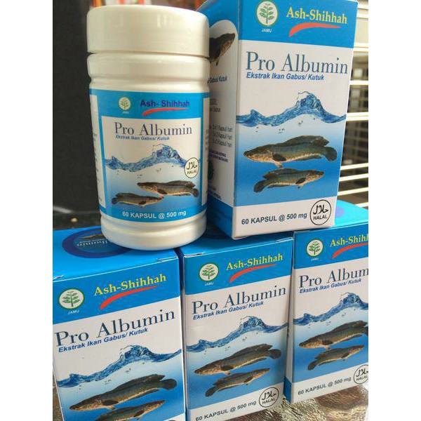 PRO ALBUMIN EKSTRAK IKAN GABUS / KUTUK KAPSUL isi 50 kapsul 100% asli original