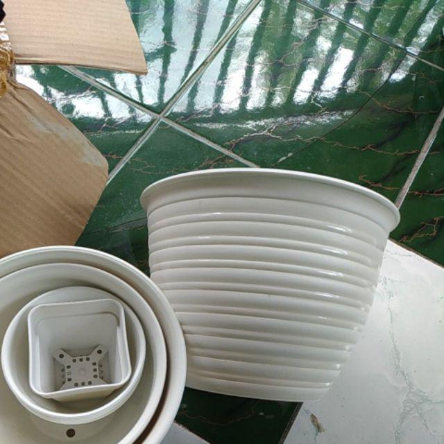 21cm Pot Tawon 21 Budi Jaya