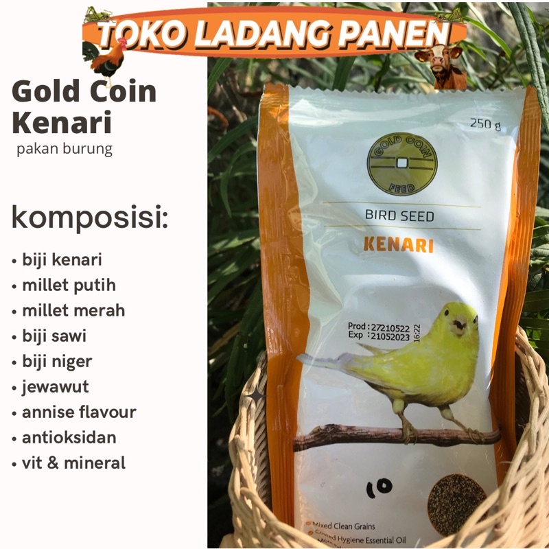 GOLD COIN KENARI PAKAN BURUNG