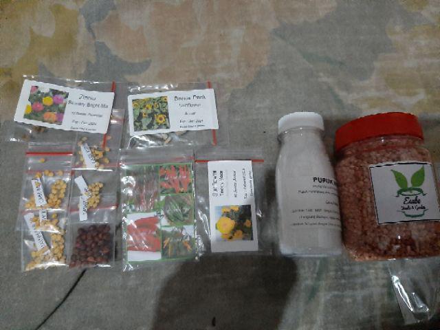 Benih Biji Zinnia Binnary Bright Mix Fullcolour Warna Warni 10 Seed