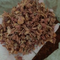 

Jasmine Tea / Teh Melati Kering Original / Teh Wangi Melati Rempah Bu Risma